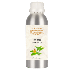 Tea Tree Essential Oil - Image 2