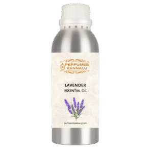 Lavender Essential Oil – 100% Pure and Therapeutic Grade