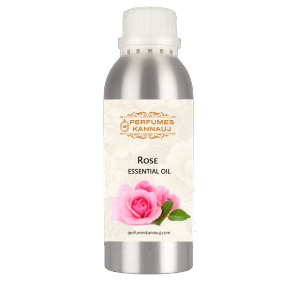 Rose – Essential Oil (100% Pure & Natural)