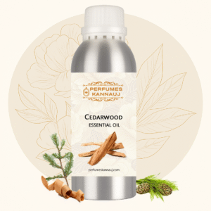 Cedarwood Essential Oil – 100% Pure & Natural (Cedrus deodara)