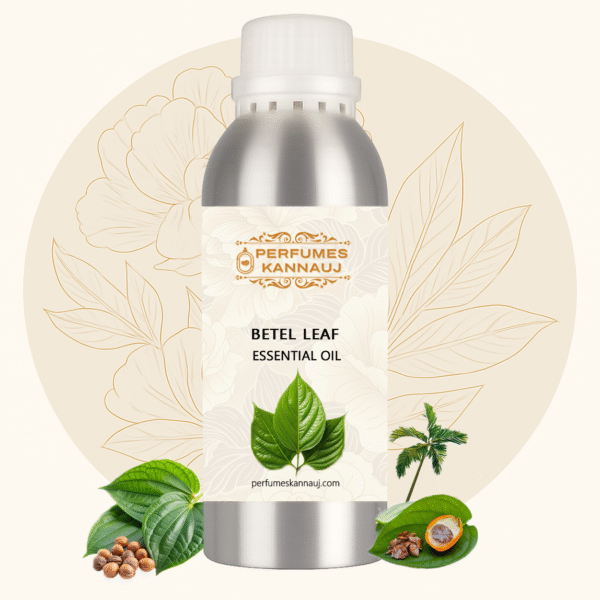 Betel Leaf Oil 100% Pure – Natural Essential Oil from Kannauj