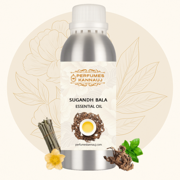 Sugandh Bala Essential Oil – Pure, Calming & Therapeutic