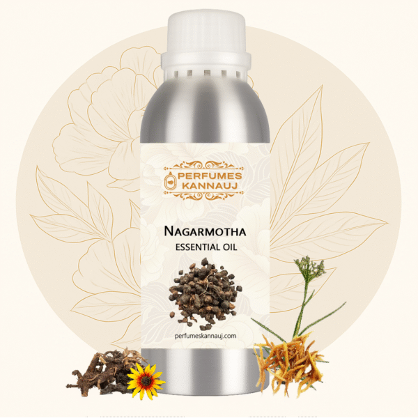 Nagarmotha Essential Oil (Cypriol Oil)